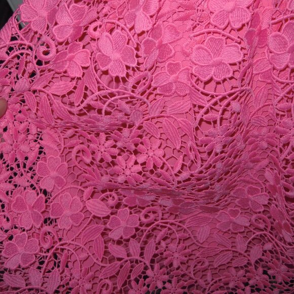 Alice + Olivia designer Pink Fit & Flare Lace Dress SIZE 0 New w/o Tags - Picture 4 of 11